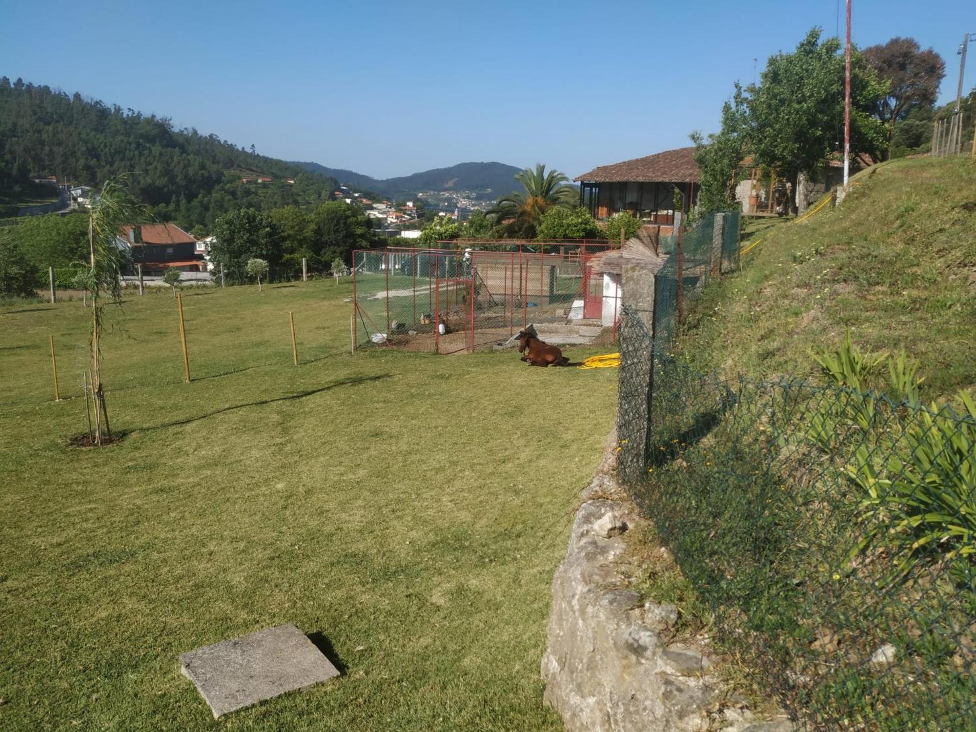 Quinta Dos Campos - Apartamento 2 Брага Экстерьер фото